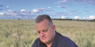 Saad-spanleier opgewonde oor nuwe rol