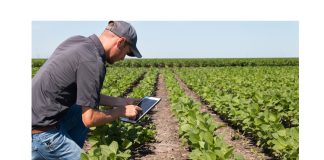 Agronomy day set to boost collaboration