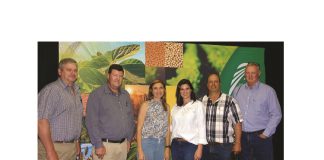 Tyd vir nuwe kollektief is hier