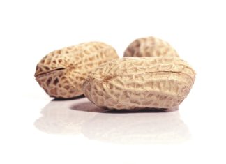 Survival of the fittest