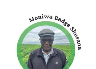 Extra effort brings success