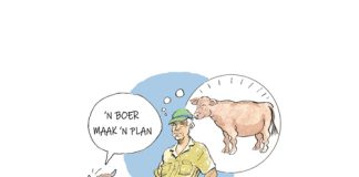 Om ’n plan te maak