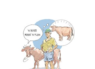 Om ’n plan te maak