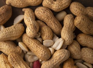 Survival of the fittest