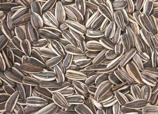 Saadopberging – hier is wat jy moet weet