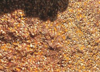 Eie opberging; skoon graan hou voordele in