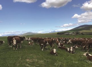 Topprodusent glo in deurdagte beplanning