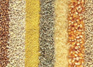 The ins and outs of SAGIS inspections