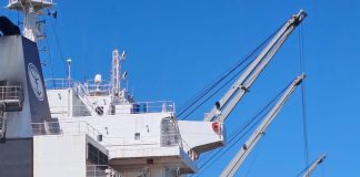 Grain exports resume at East London Terminal