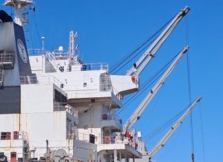 Grain exports resume at East London Terminal