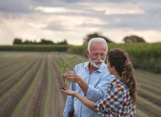 Wanneer familie saam boer