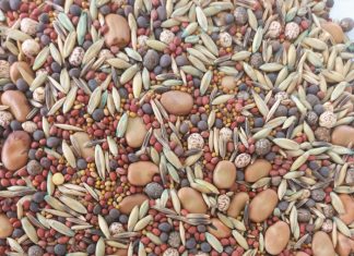 Boer meer doelgerig met dekgewasmengsels