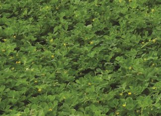 Medics-weidings wat werk