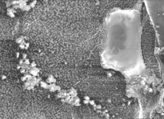 Waterkwaliteit se effek op produkte se werking