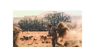 Arbeid – sien die groter prentjie