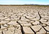 Forecasts point to development of El Niño in 2023