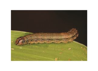 Verken gereeld jou lande