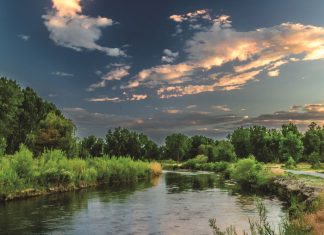 Konstitusionele Hof bied sekerheid vir waterreghouers