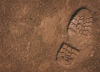 Bestuur ’n El Niño-jaar só