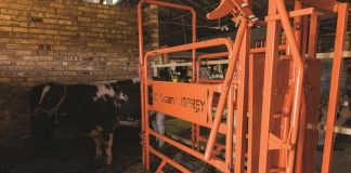 Plaaslike vervaardigers staan breëbors by NAMPO