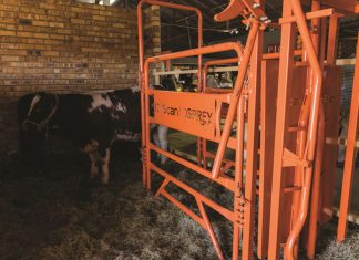 Plaaslike vervaardigers staan breëbors by NAMPO