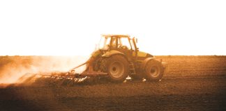 Effektiwiteit werk duur bewerkingskoste teë