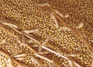 Wees ingelig oor sojas se onttrekkingsyfers