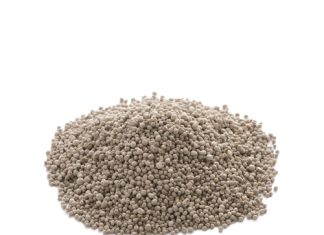 Wat is beter: Bandplasing of uitstrooi van kunsmis?