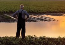 Wie staan pa vir afloopwater op bewerkte landerye?