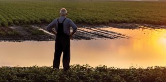 Wie staan pa vir afloopwater op bewerkte landerye?