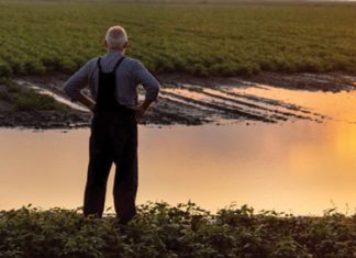 Wie staan pa vir afloopwater op bewerkte landerye?