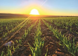 Let op dié praktyke vir somersaai