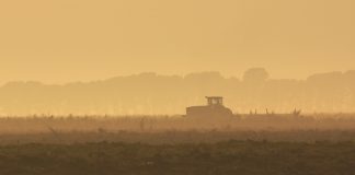 Trekker- en stroperverkope vertoon weer goed
