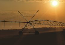 Die effek van beurtkrag op besproeiingskoring