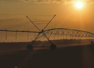 Die effek van beurtkrag op besproeiingskoring