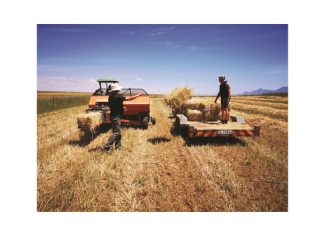 Dissiplinêre sake op die plaas kan in ’n nagmerrie ontaard