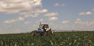 Effect of insecticides on aphids: evolution of resistance
