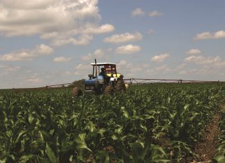 Effect of insecticides on aphids: evolution of resistance