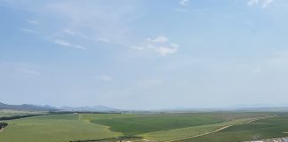 Skoleprogram by NAMPO Kaap sal belangstelling in landbou bevorder