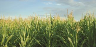 Farmer of the Year – here are the 2023 nominees