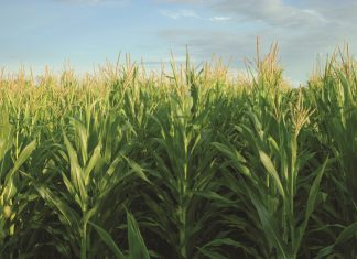 Farmer of the Year – here are the 2023 nominees