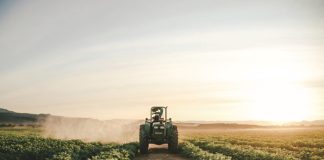 Soybean production in SA – a success story