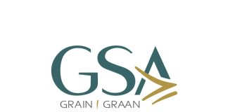 Groei vooruit om ons toekoms te bestuur