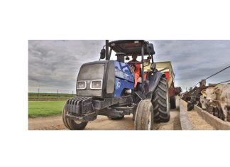 Is there a role for sorghum in the local beef industry?