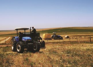 Dié basiese diensvoorwaardes geld vir plaaswerkers