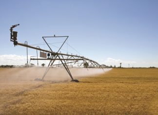 Beste praktyke: lesse van plase in sentraal-Suid-Afrika