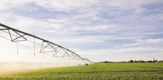 Pest control through irrigation