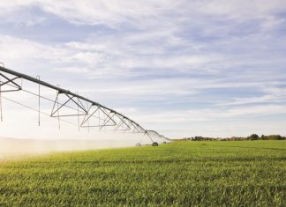 Pest control through irrigation