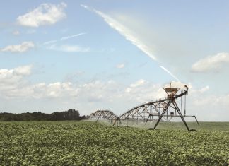 Holistiese benadering kan spilpunt-vogverlies minimeer