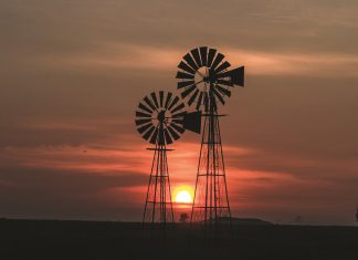 Graanprodusent van die jaar: ’n Ryk geskiedenis wat oor 22 JAAR strek